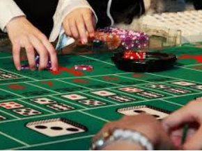 壹号平台app电脑免费版